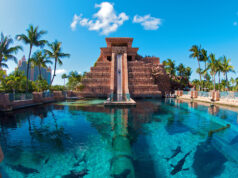 Lo scivolo più pazzo del mondo? Nella piscina ci sono gli squali