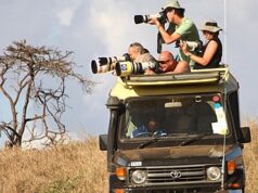 I 10 safari più costosi al mondo