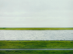 Le foto più care del mondo