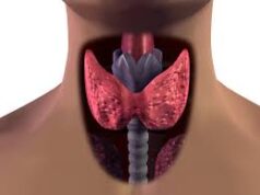Tiroide in laboratorio, un trapianto di speranza