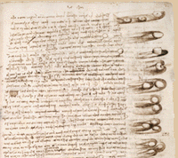 Leonardo da Vinci, autore del saggio più prezioso del mondo