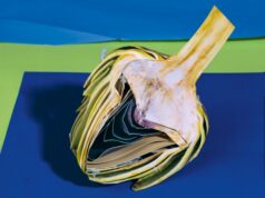 Cibo, un’ispirazione artistica che fa bene all’ambiente