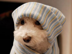 I trucchi per non soffrire il freddo