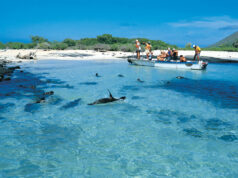 Galapagos, turismo naturalistico per la famiglia