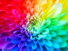 Cromoterapia, i colori dell’anima