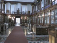 Maggio dei monumenti, Centro Musei delle Scienze Naturali e Fisiche aperto al pubblico