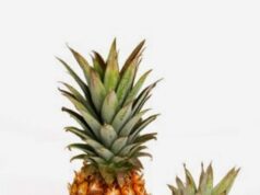 Ananas, frutto perfetto per l’estate