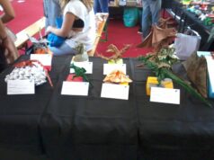 Origami, la cura dello spirito attraverso la carta