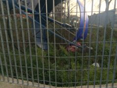 Allarme maltempo, disagi in tutta la penisola