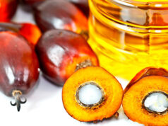 Olio di palma, parere definitivo del Ministero