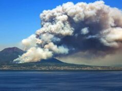 Vesuvio: dolosa la natura degli incendi vesuvio