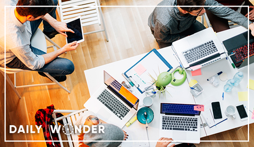 redazione dailywonder